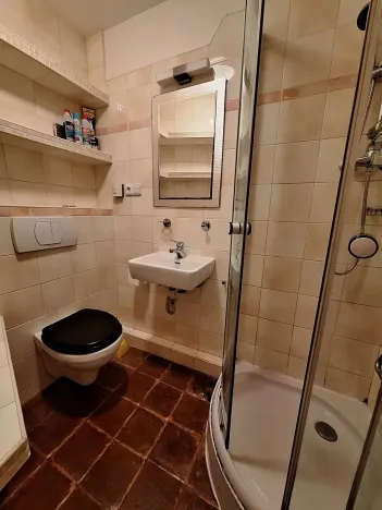 Pronájem bytu 1+kk, Praha - Žižkov, Ondříčkova, 18 m2