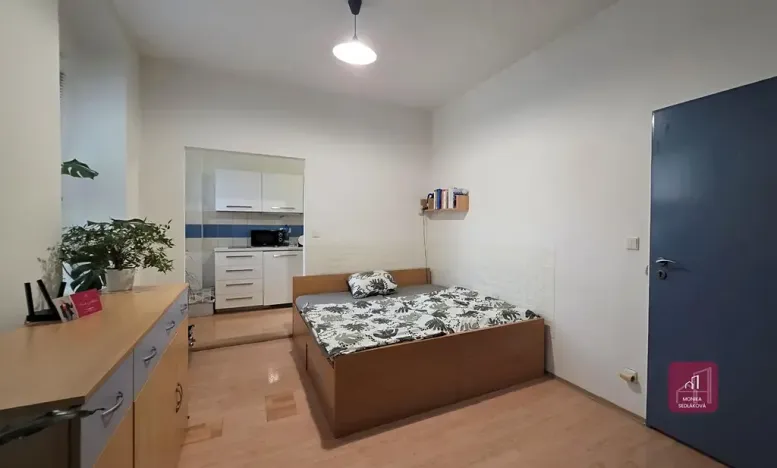 Prodej bytu 1+1, Brno, Cejl, 33 m2
