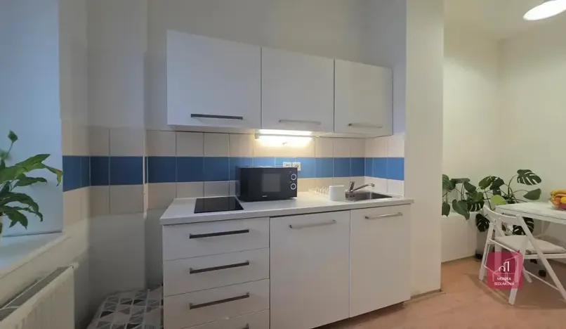 Prodej bytu 1+1, Brno, Cejl, 33 m2