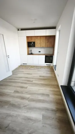 Pronájem bytu 1+kk, Brno - Jehnice, Kleštínek, 29 m2