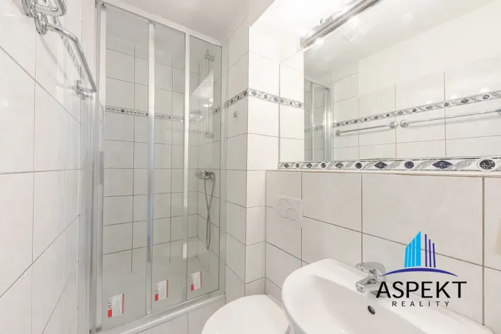 Pronájem bytu, Praha - Vinohrady, Londýnská, 17 m2