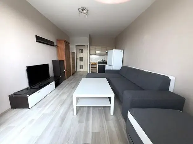 Prodej bytu 1+kk, Ostrava - Zábřeh, Petruškova, 30 m2