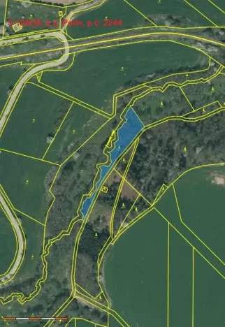 Prodej lesa, Dolní Hořice, 2471 m2