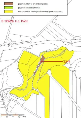 Prodej lesa, Dolní Hořice, 2471 m2