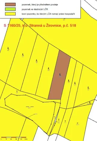 Prodej lesa, Žirovnice, 2374 m2