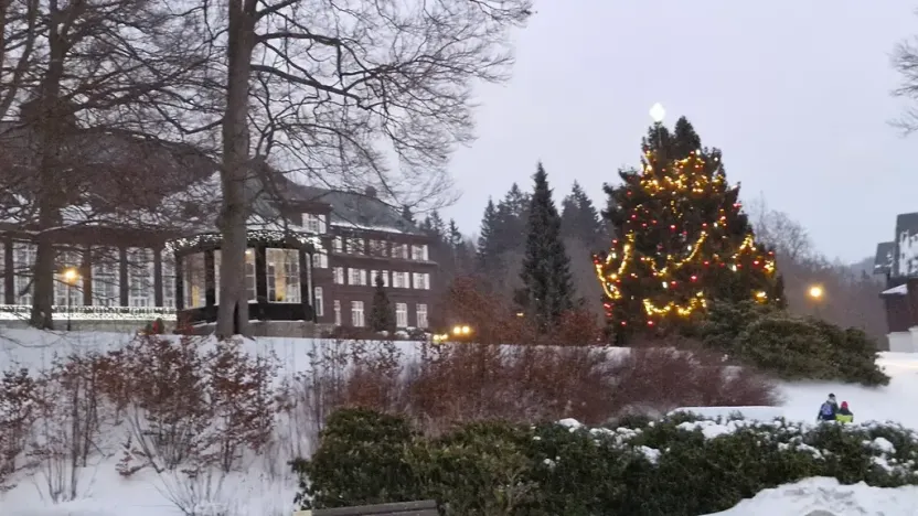 Prodej pozemku pro bydlení, Karlova Studánka, 900 m2