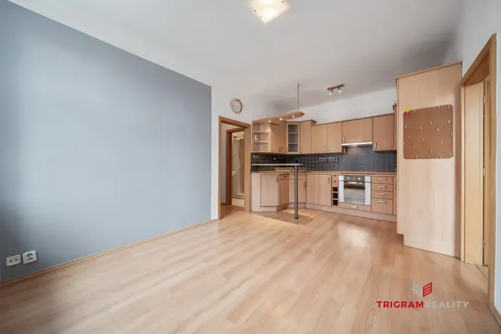 Prodej bytu 2+kk, Hradec Králové - Pražské Předměstí, Horova, 48 m2