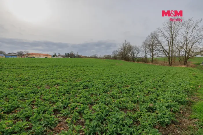 Prodej pozemku pro bydlení, Dobřany, 6134 m2