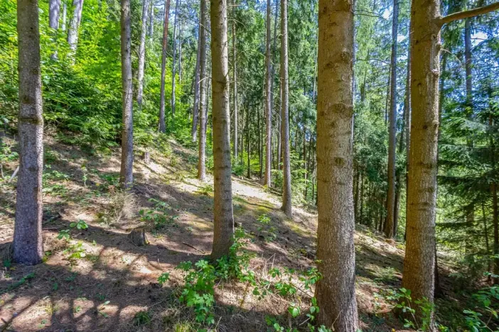 Prodej chalupy, Leština, 130 m2