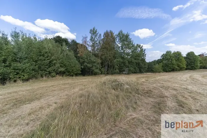 Prodej pozemku pro bydlení, Merklín, 1038 m2