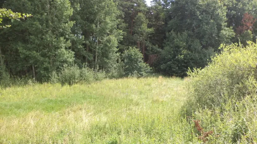 Prodej pozemku, Chodský Újezd - Nahý Újezdec, 2441 m2