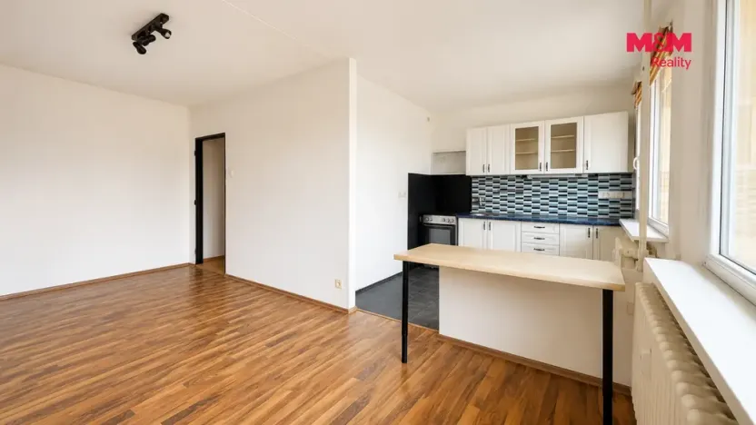 Prodej bytu 2+1, Bílina - Pražské Předměstí, Aléská, 48 m2