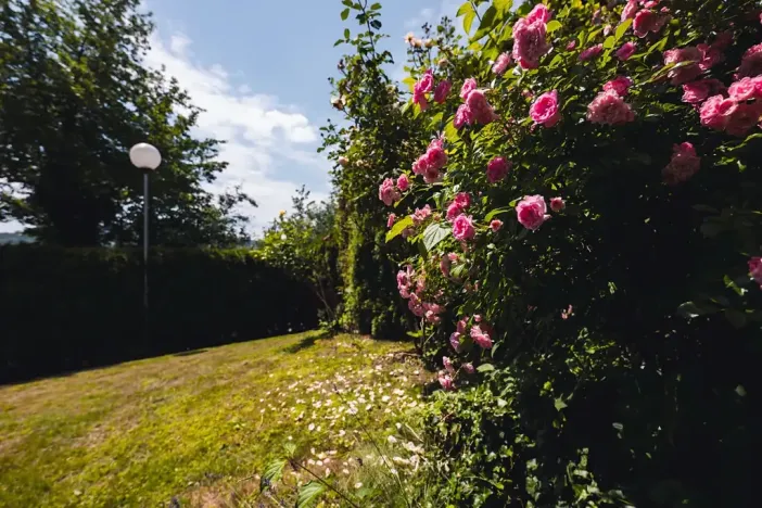 Prodej bytu 2+1, Zlín, Nad Stráněmi, 96 m2
