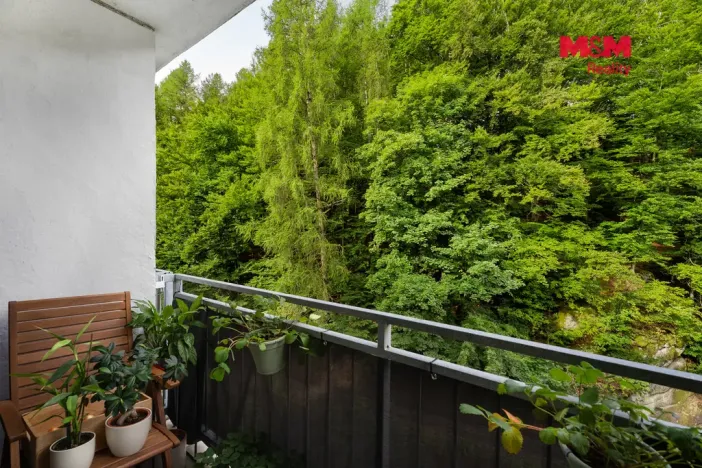 Prodej bytu 2+1, Desná, Krátká, 55 m2