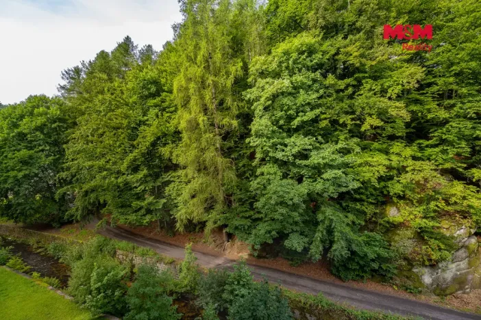Prodej bytu 2+1, Desná, Krátká, 55 m2