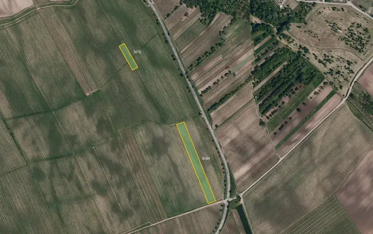Prodej sadu/vinice, Kobylí, 23542 m2