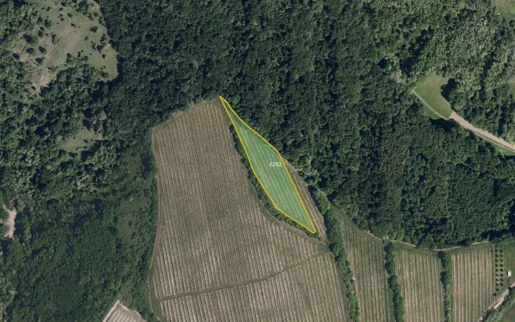 Prodej sadu/vinice, Kobylí, 23542 m2