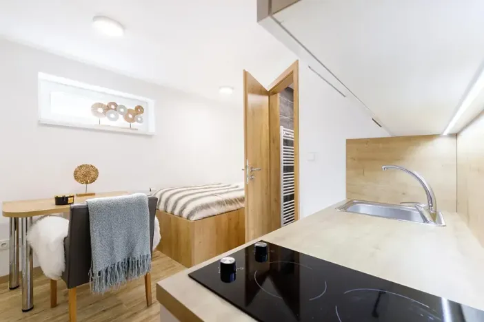 Pronájem bytu 1+kk, Zlín, Vejvanovská, 18 m2