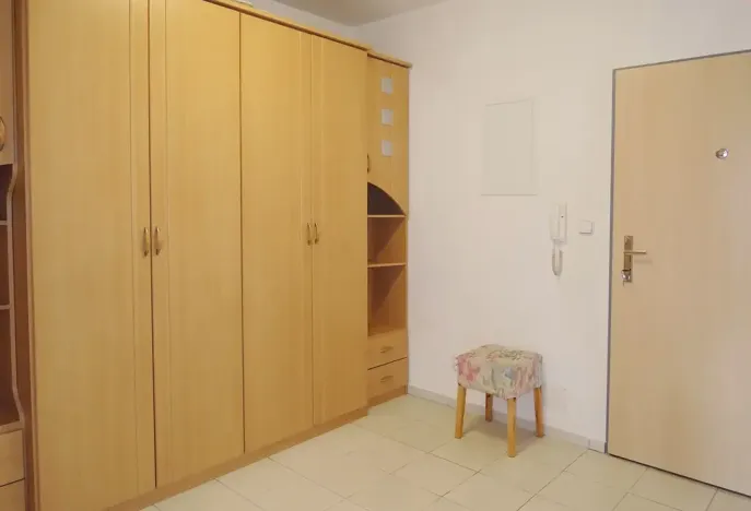 Pronájem bytu 2+kk, Brno, Purkyňova, 54 m2