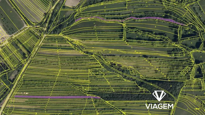 Prodej podílu pole, Velká nad Veličkou, 821 m2