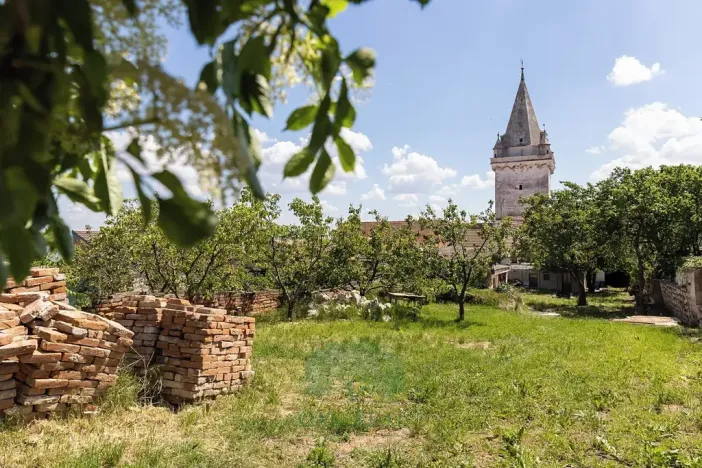 Prodej činžovního domu, Pavlov, Na Návsi, 368 m2