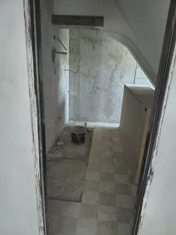 Prodej podílu vícegeneračního domu, Olšany, 831 m2