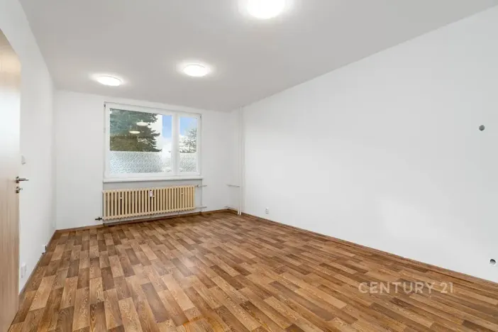 Pronájem bytu 1+1, Děčín, Růžová, 35 m2