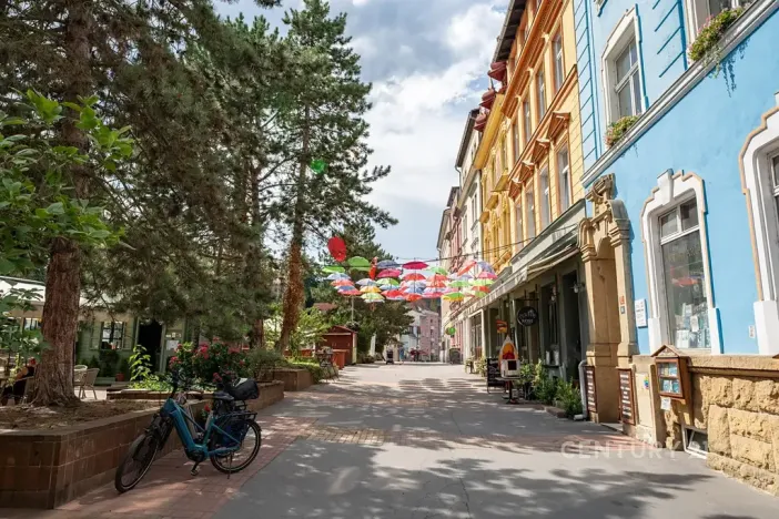 Pronájem činžovního domu, Děčín, Křížová, 80 m2