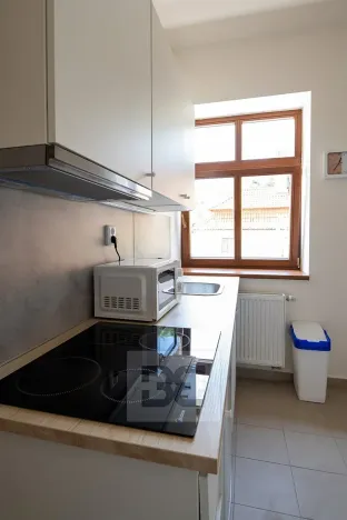 Pronájem bytu 1+kk, Karlštejn, 17 m2