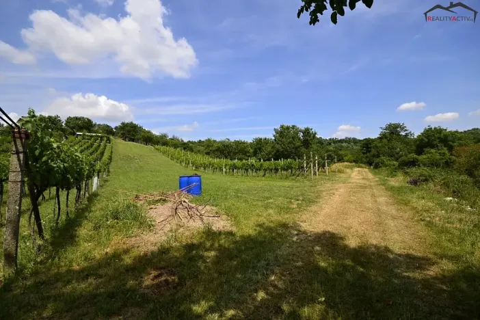 Prodej sadu/vinice, Bzenec, 2460 m2