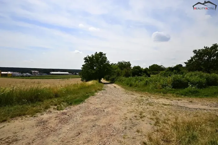 Prodej sadu/vinice, Bzenec, 2460 m2
