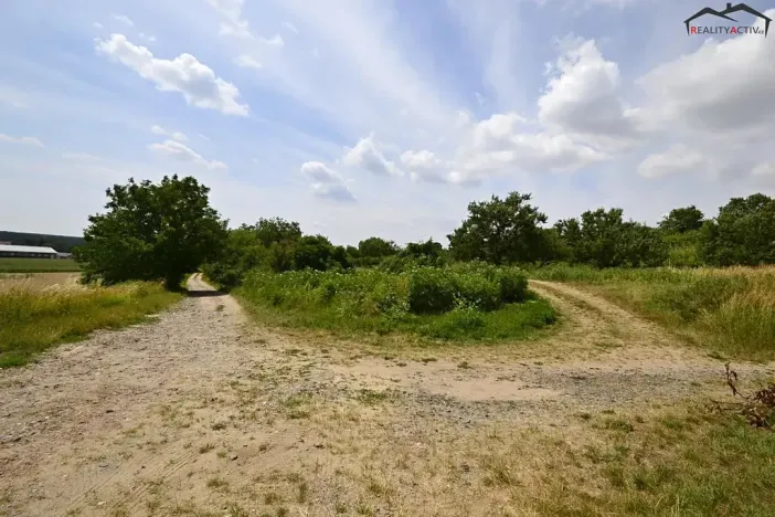 Prodej sadu/vinice, Bzenec, 2460 m2