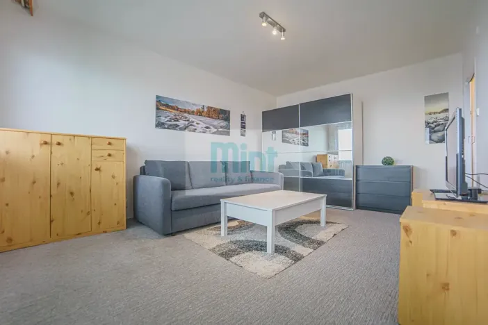 Pronájem bytu 1+1, Ostrava, Resslova, 29 m2