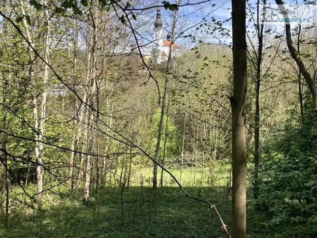 Prodej pozemku pro bydlení, Branná, 3500 m2