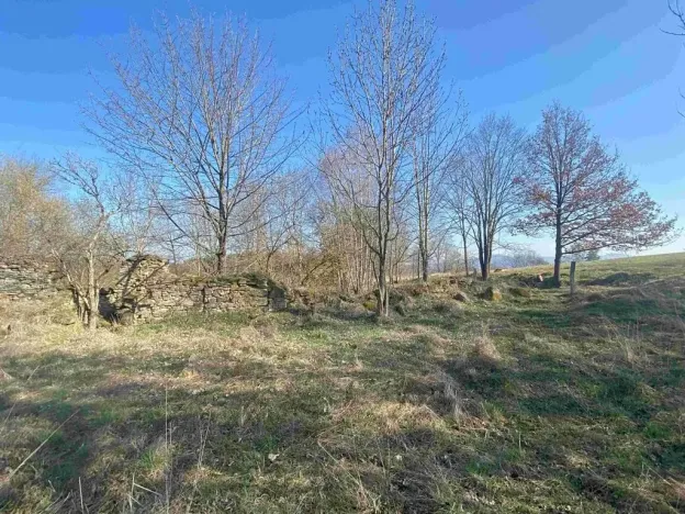 Dražba pozemku pro bydlení, Dolní Dvořiště, 11107 m2