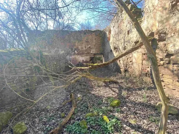Dražba pozemku pro bydlení, Dolní Dvořiště, 11107 m2