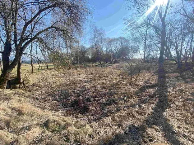 Dražba pozemku pro bydlení, Dolní Dvořiště, 11107 m2