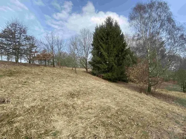 Dražba pozemku pro bydlení, Nové Hrady, 2407 m2