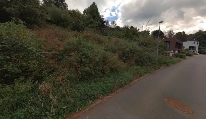 Prodej pozemku pro bydlení, Havlíčkův Brod, 1084 m2