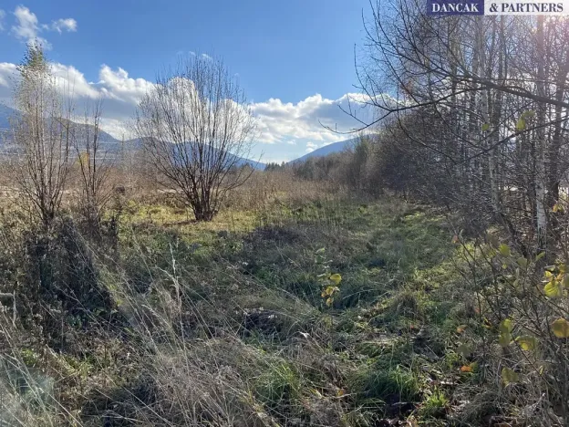 Prodej pozemku pro bydlení, Frýdlant nad Ostravicí, Havlíčkova, 6279 m2
