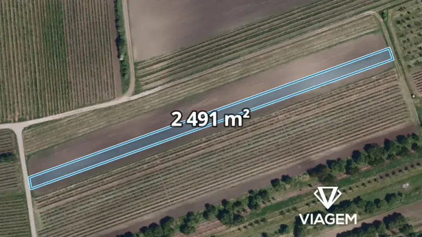 Prodej pole, Velké Pavlovice, 2491 m2