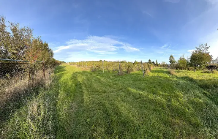 Prodej pozemku, Uherské Hradiště, Vinohradská, 2877 m2