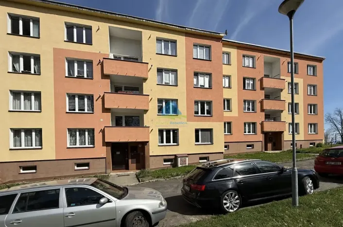 Prodej bytu 1+1, Plesná, Světlá, 35 m2