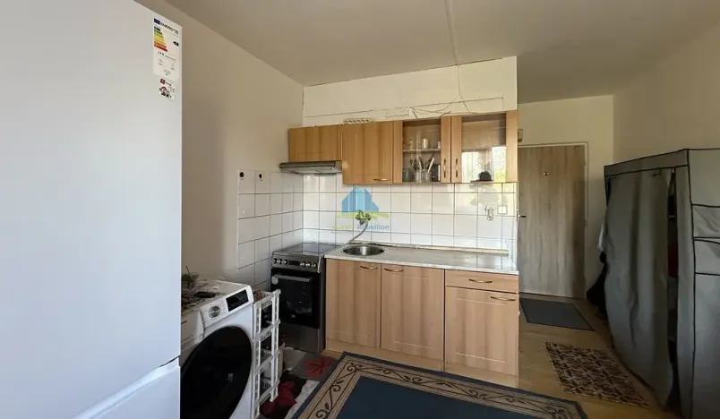 Prodej bytu 1+1, Plesná, Světlá, 35 m2
