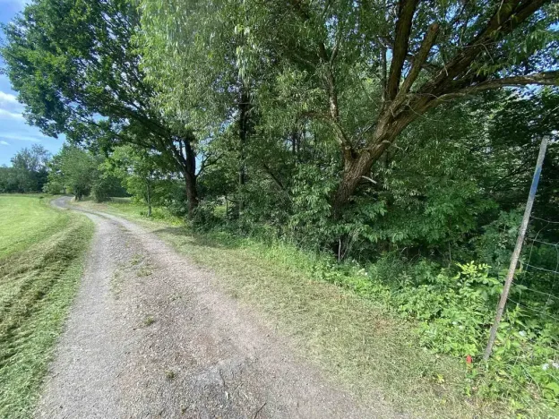 Prodej pozemku, Nové Hrady - Nakolice, 974 m2