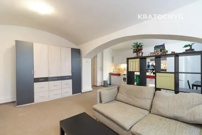 Prodej bytu 1+kk, Praha - Karlín, Březinova, 50 m2