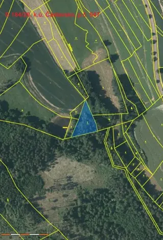 Prodej lesa, Čáslavsko, 2039 m2