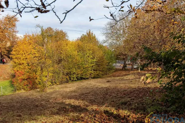 Prodej pozemku pro bydlení, Příluka, 805 m2