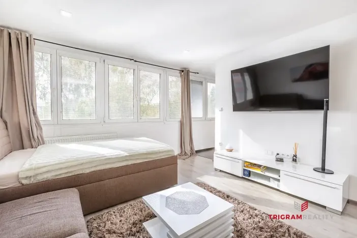 Prodej bytu 1+kk, Hradec Králové - Slezské Předměstí, Severní, 28 m2