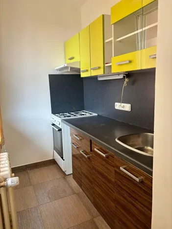 Pronájem bytu 1+kk, Slaný, Všehlušická, 27 m2